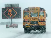 Ottawa's Snow Day Protocol: How School Bus Cancellations Are Decided