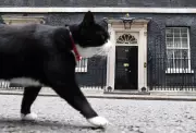 Palmerston, the U.K.'s Celebrated 'Diplocat,' Passes Away in Bermuda