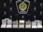 Project Forge Drug Bust: Toronto Man Charged After $1.5M Opium and Cocaine Seizure