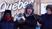 Quebec's Fred la Marmotte Predicts Early Spring for 2026 Groundhog Day