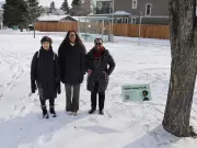 Sunnyside Honors Violet King: Canada's First Black Female Lawyer with Park