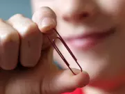 The Red Paperclip Portfolio: How Small Investment Moves Build Big Wealth