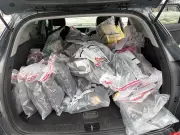 Three Youths Face Nearly 200 Charges in Mississauga Break-In Spree