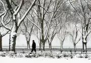 Toronto's Deep Freeze to Persist Through Family Day Weekend, Meteorologist Says
