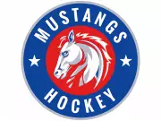 Tragic Collision Claims Lives of Three Southern Alberta Mustangs Junior Hockey Players