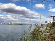 Trump Demands 50% U.S. Ownership of Canada-Funded Gordie Howe Bridge