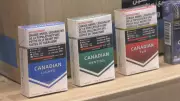 Two Individuals Charged Following RCMP Seizure of Unstamped Tobacco in Squamish