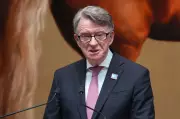 UK Politician Peter Mandelson Resigns from House of Lords Amid Epstein Scandal