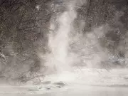 Urban Winter Exploration: Finding Beauty in Calgary's Snowstorm