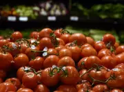 U.S. Supreme Court Tariff Ruling Creates New Trade Uncertainty for Canada