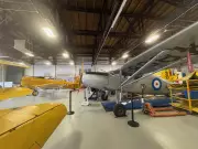 Valentine's Day Events Abound in Windsor-Essex as Love Fills the Air