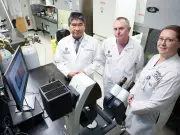 Vitamin B3 Shows Promise in Halting Brain Cancer Recurrence: University of Calgary Study