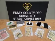 Wheatley Man Arrested in Major Drug Trafficking Bust by Essex OPP