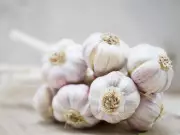 Why Some Garlic Bulbs Sprout Early While Others Store Well Into Spring