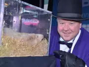 Wiarton Willie Predicts Early Spring While Punxsutawney Phil Forecasts More Winter