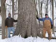 Windsor-Lakeshore Power Line Proposal Sparks Environmental Concerns Among Landowners