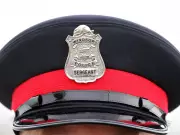 Windsor Man Charged with Multiple Fraud and Theft Offenses After Home Break-In