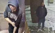 Windsor Police Seek Suspect Following Theft of Pickup Truck