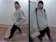 Windsor Police Seek Suspect in Downtown Business Break-In and Vandalism