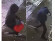 York Region Police Seek Witnesses After Two Attempted Arsons in Markham and Stouffville