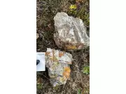 Yukon Metals Discovers High-Grade Gold Up to 250 G/T at Carter Gulch