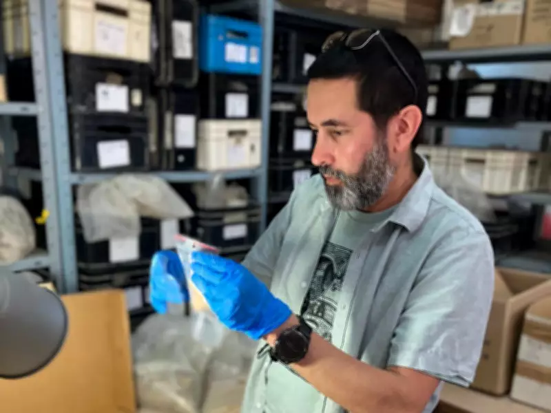 800 Days in Death's Shadow: The Grueling Work of Israel's Forensic Anthropologist