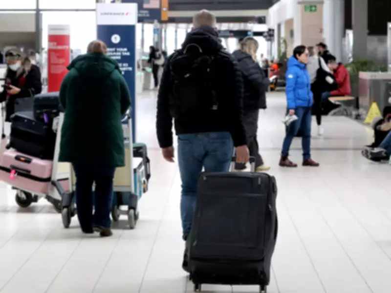 Air Travel to U.S. Plummets 30% in February as Domestic and International Trips Surge