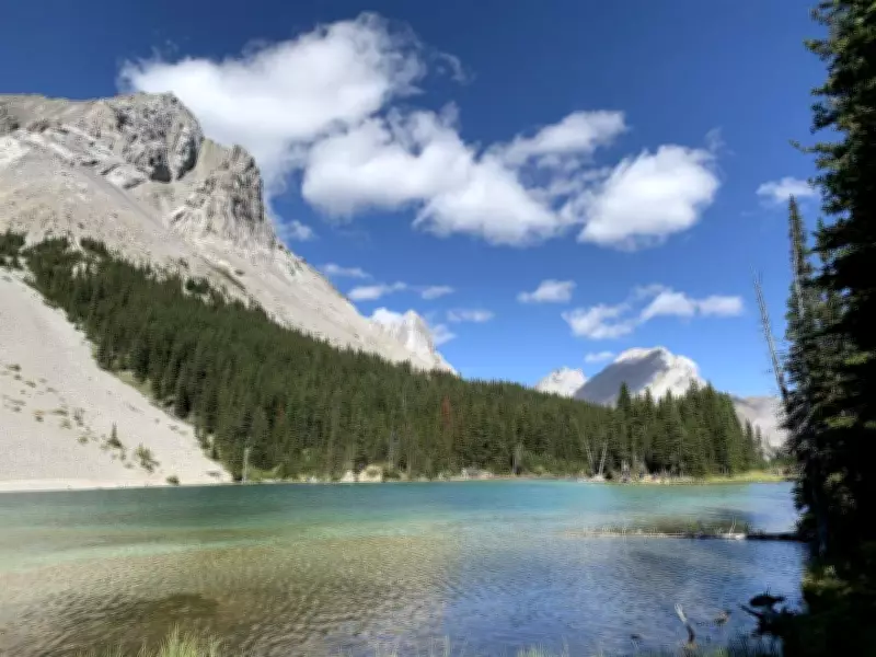 Alberta Seeks Public Input on Kananaskis Country's Future Amid Development Pressures