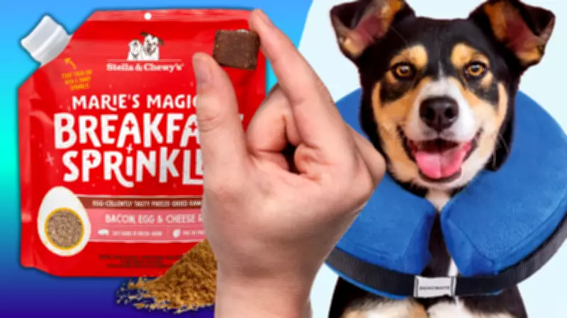 Amazon's Big Spring Sale Offers Major Pet Product Discounts