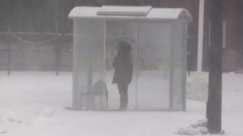 Arctic Blast Grips Simcoe Muskoka: Wind Chills Plummet to -30°C to Start Week