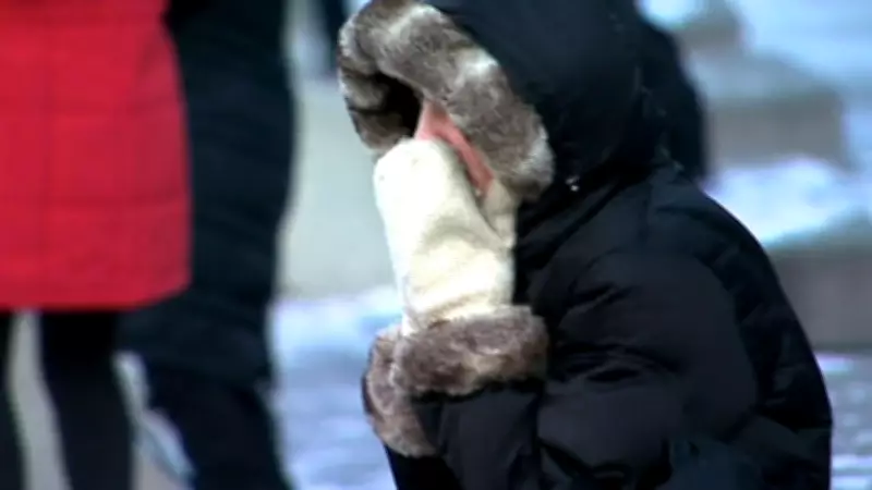 Arctic Blast to Bring Sudden Winter Return to Greater Toronto and Hamilton Area