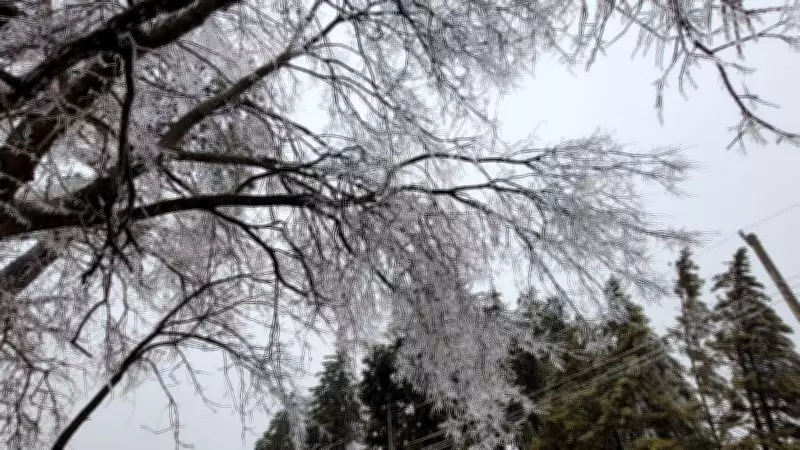 Barrie and Innisfil Receive $26.6M in Federal Ice Storm Recovery Funds