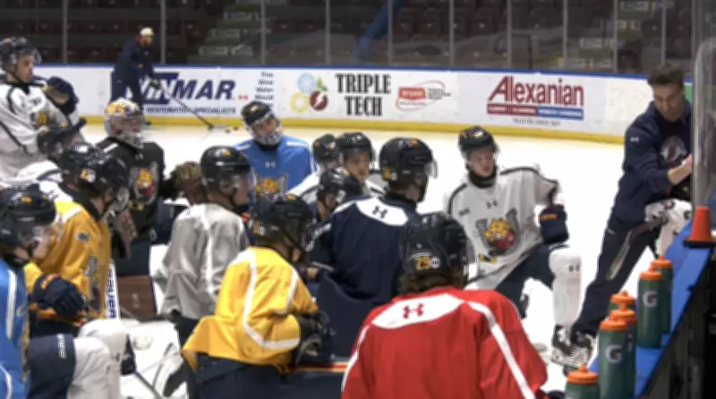 Barrie Colts Face Playoff Opener Against Niagara IceDogs Minus Star Defenceman