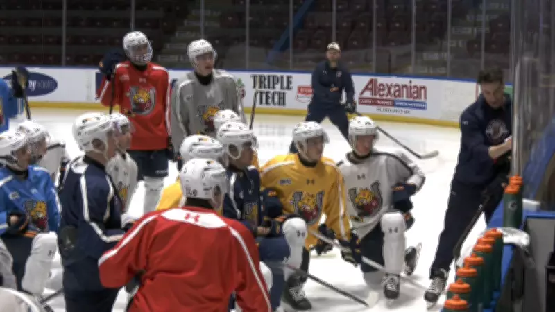 Barrie Colts Prepare for Crucial Game 3 with Star Defenceman's Return