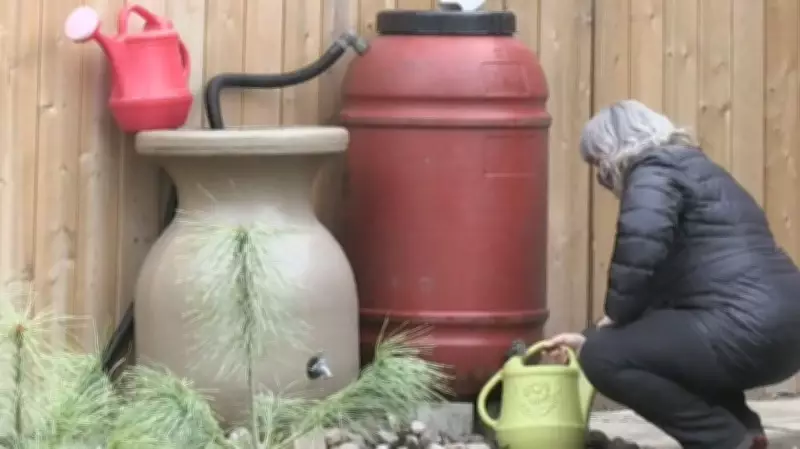 Barrie Launches Annual Rain Barrel Sales to Promote Water Conservation