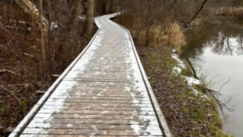 Barrie Seeks Public Input for Fairy Lake Boardwalk Reconstruction Project