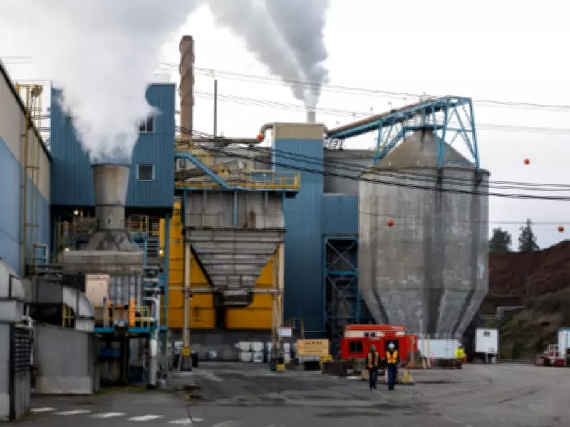 B.C. Forestry Sector Faces Persistent Job Losses Amid Economic Challenges