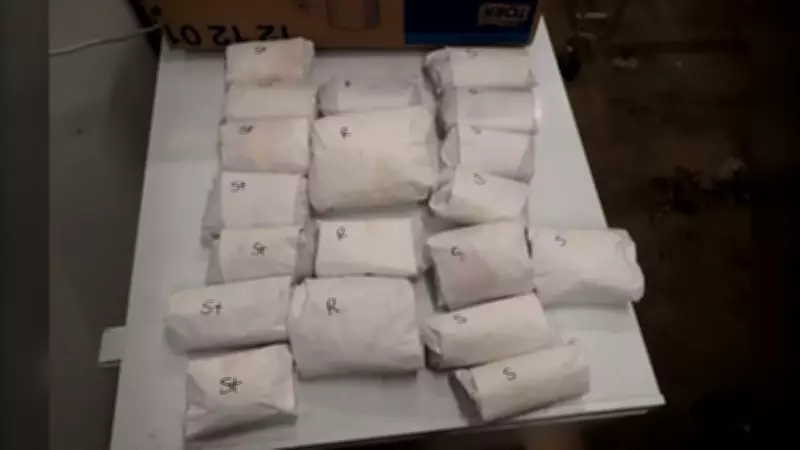 B.C. Hunter Fined $5K, Banned for Year After Shooting Elk Near Roadway