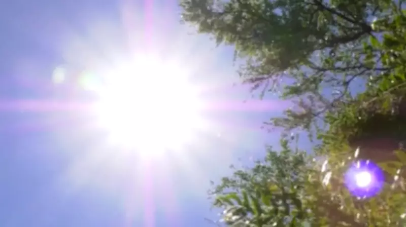 B.C. Interior Communities Shatter Daily Heat Records Amid Warming Trend