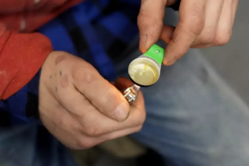 Benzo-dope Resurfaces as Leading Substance in Toronto's Drug Supply, Overdoses Climb