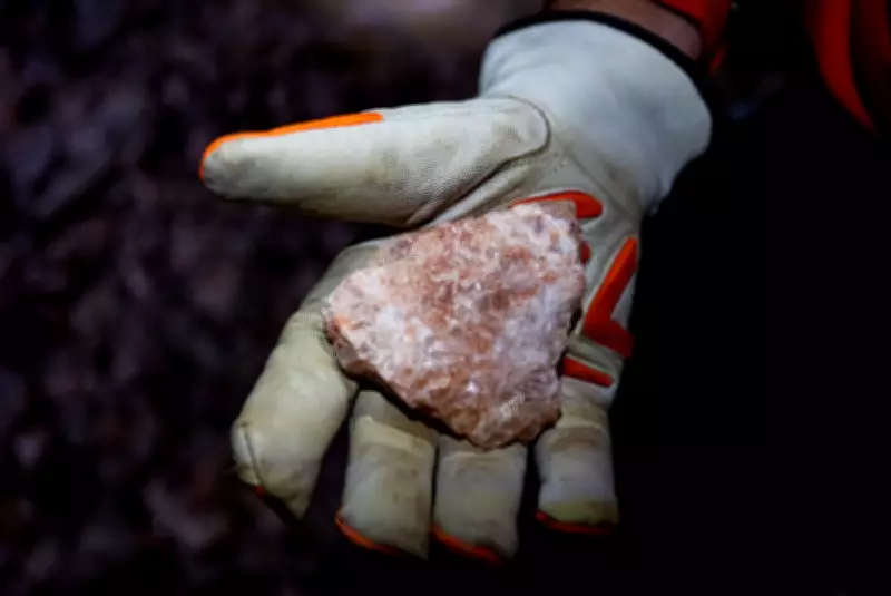 BHP Warns of Potash Market Deficit by 2035 as Demand Surges Past Supply