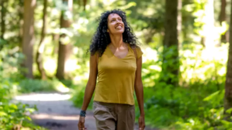 Birdwatching Expertise Linked to Enhanced Brain Structure and Function, Study Finds