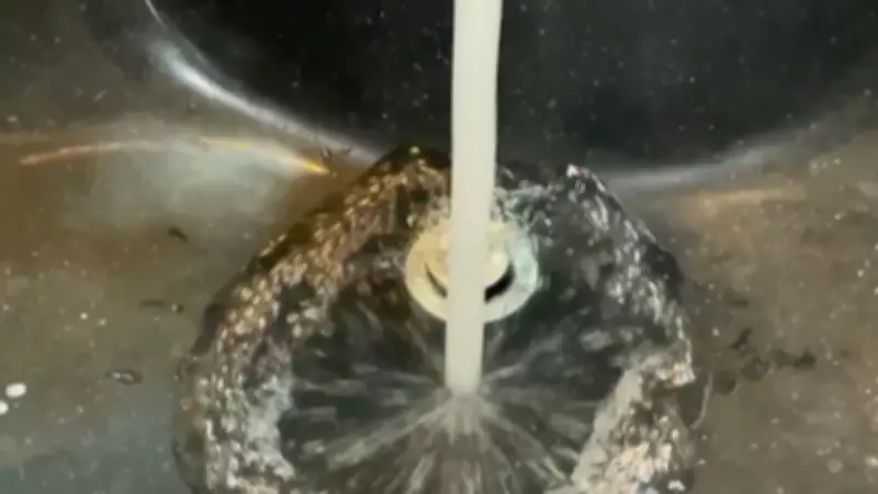 Boil Water Advisory Issued for Southwest Calgary Neighborhood