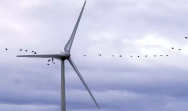 Boralex Initiates Strategic Review Amidst Evolving Renewable Energy Landscape