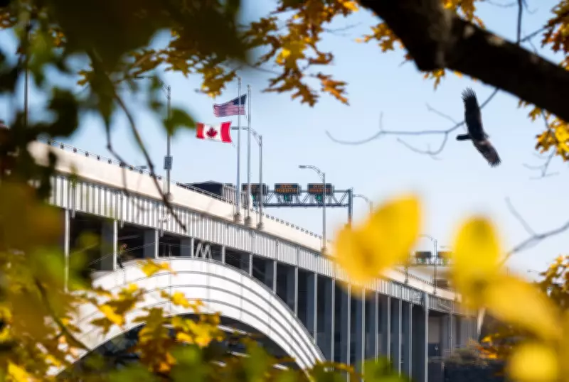 Border Officer Charged for Allowing Truck with Opium, Cannabis, Tobacco into Ontario