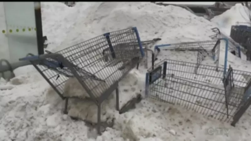 Brampton Imposes $100 Fee on Stores for Each Abandoned Shopping Cart Found