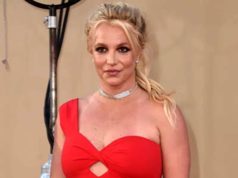 Britney Spears Arrested for Suspected DUI, Released with Court Date Set