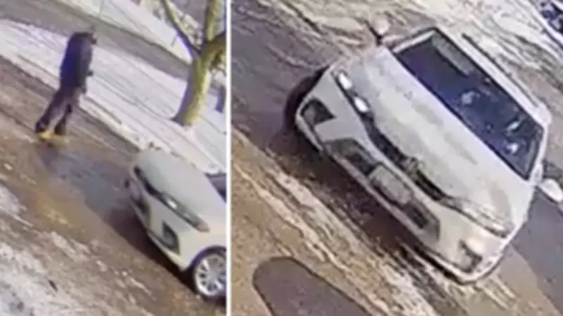 Brockville Police Seek Suspect and Vehicle in Grandparent Scam Investigation