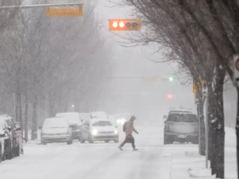 Calgary Braces for Another Major Spring Snowstorm with Up to 25 cm Forecast