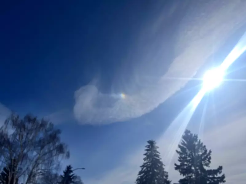 Calgary Braces for Late Winter Snowfall Before Easter Weekend Warm-Up